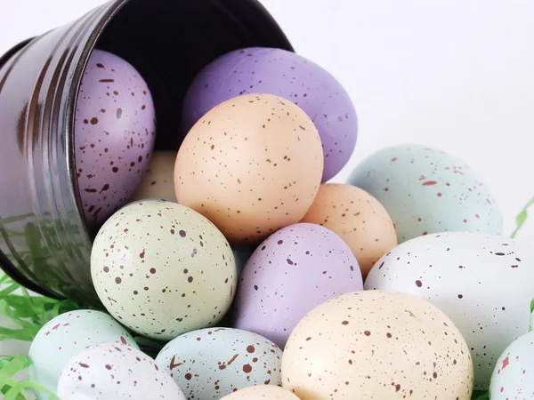 Pastel Flecked Eggs, fermer — Photo