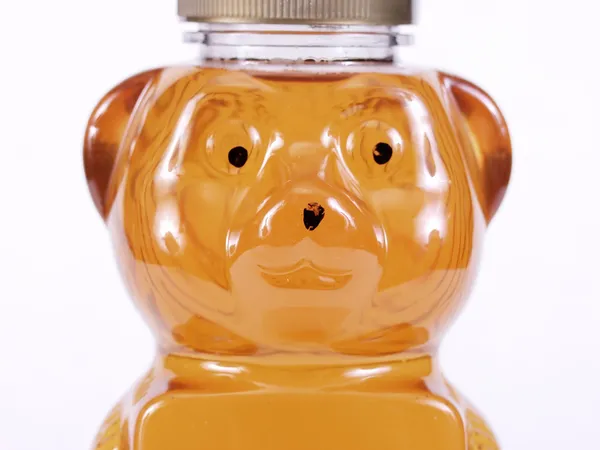 stock image Golden Honey Bear Face