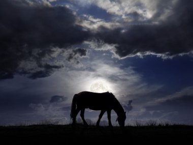 Pasture in the moonlight clipart