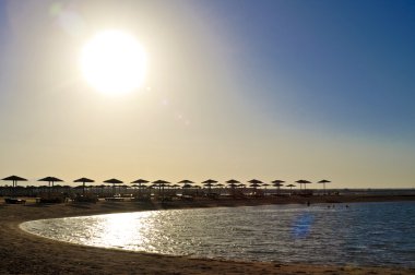 Mısır'ın plaj üzerinde hasır şemsiyeler