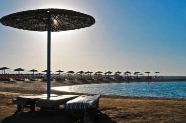 Straw umbrellas on the beach of Egypt clipart