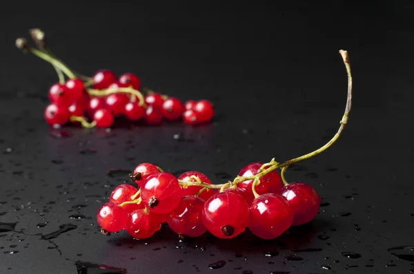 Branch of an red juicy currant — Stock Photo, Image