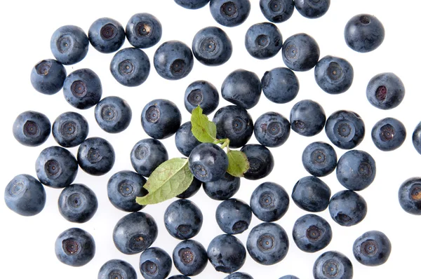 Bilberries on the wite surface — Stock Photo, Image