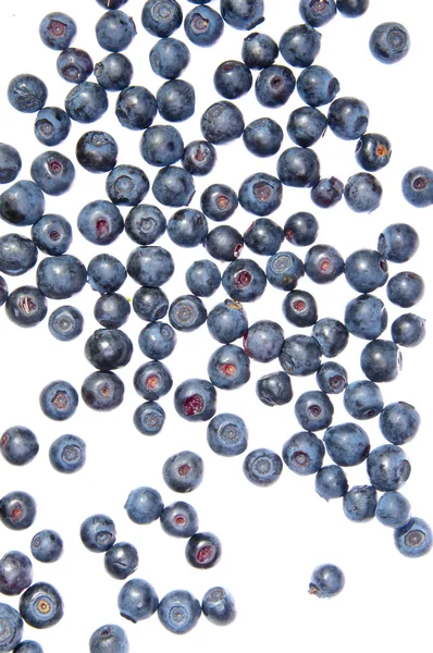 Bilberries on the wite surface — Stock Photo, Image