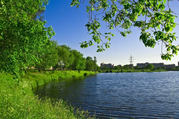 Parco cittadino vicino al lago, alberi verdi e cielo blu sopra — Foto Stock