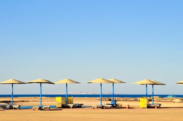 Солом'яні парасольки на пляжі Єгипту — стокове фото