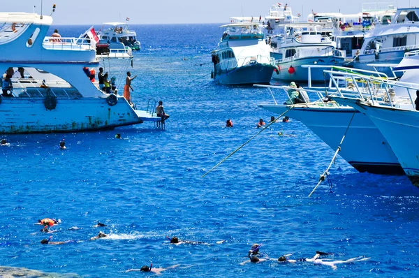 Snorkling bredvid yachts i Röda havet — Stockfoto