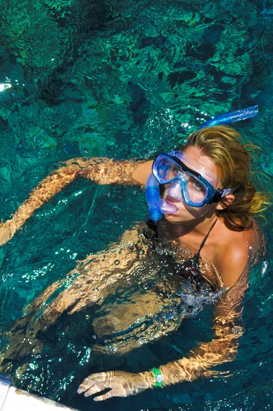 Güzel bir kız maskesi bir kızıl denizde dalış — Stok fotoğraf