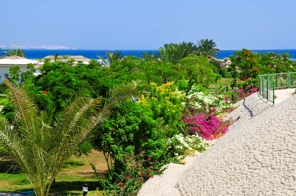 Prachtig uitzicht op de zee vanuit de Egyptische hotel — Stockfoto