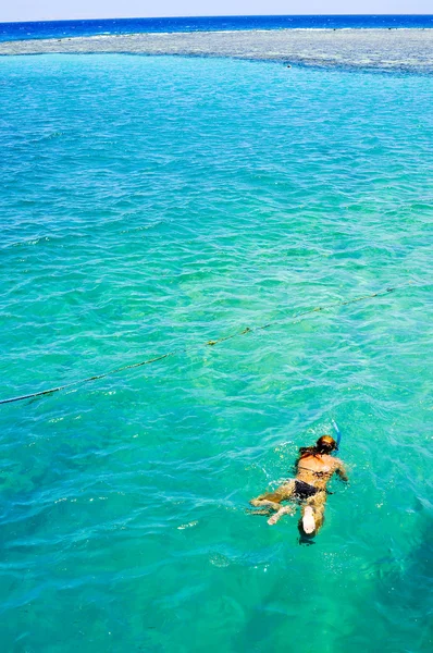 Het mooie meisje is snorkelen met een masker in een rode zee — Stockfoto