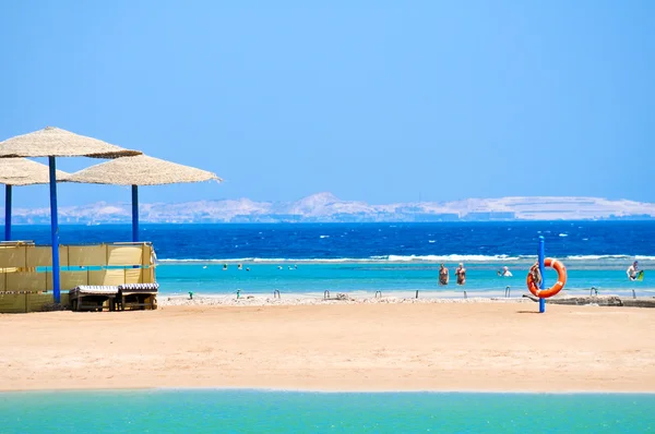 Parapluies en paille sur la plage d'Egypte Image En Vente