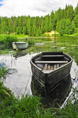 The boat moored by the coast of the river clipart