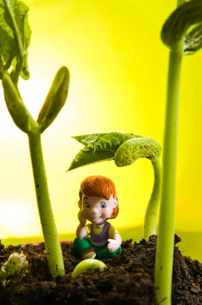 The little toys and the bean sprout — Stock Photo, Image