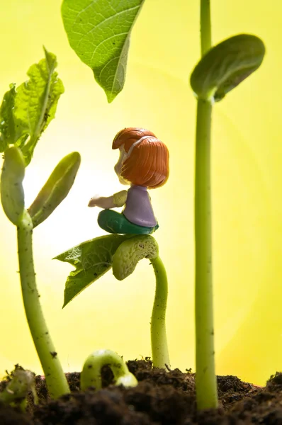 작은 장난감 및 콩 새싹 — 스톡 사진