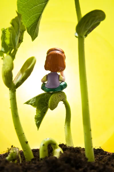 작은 장난감 및 콩 새싹 — 스톡 사진