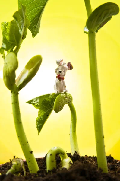 The little toys and the bean sprout — Stock Photo, Image