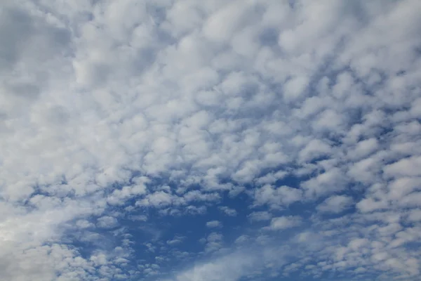 Stock image Storm sky