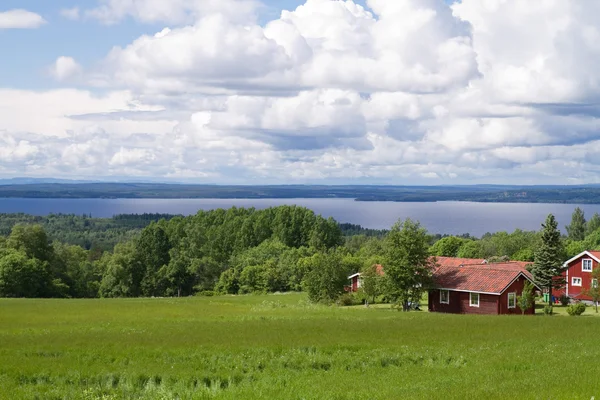 Swedish farmland — Stockfoto