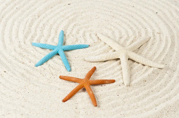 Three star fishes — Stock Photo, Image