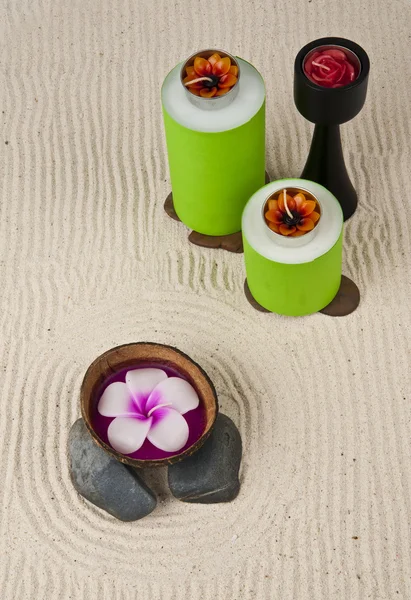 Velas de flores en la cáscara de coco — Foto de Stock