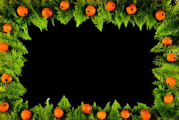Frame from moss and berries — Stock Photo, Image