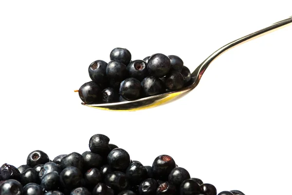 Huckleberry en cuchara —  Fotos de Stock