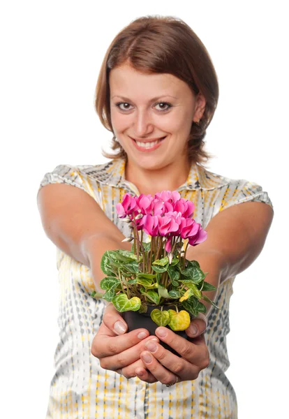 Smiling girl with cyclamens — Stock Photo, Image