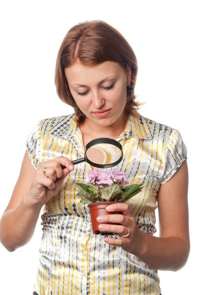 Girl considers violets through a magnifier — Stock Photo, Image