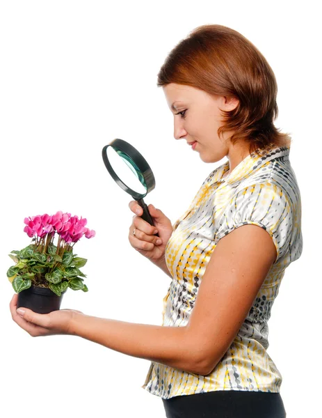 Girl considers cyclamens through a magnifier — Stock Photo, Image
