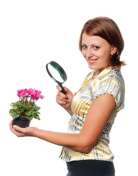 Smiling girl considers cyclamens through a magnifier — Stock Photo, Image
