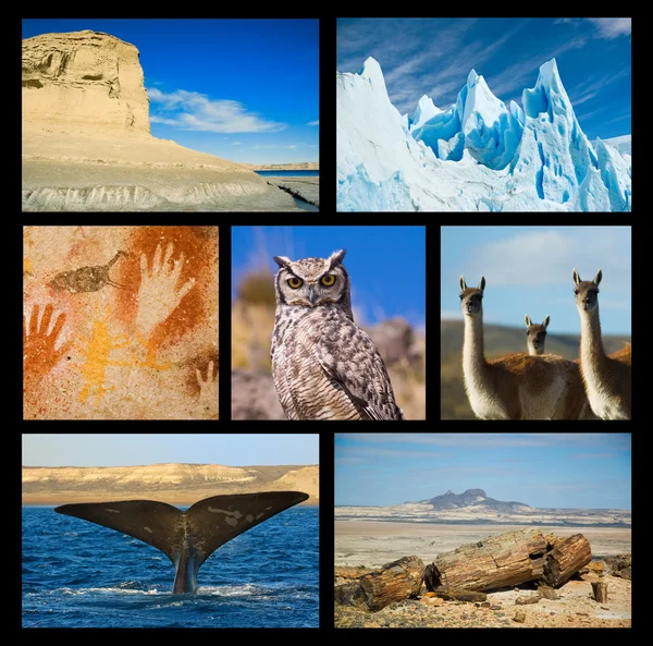Patagonia destaca colección uno . —  Fotos de Stock
