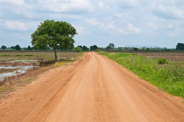 stock image Road to country