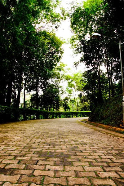 Sentier pédestre dans le jardin botanique — Photo
