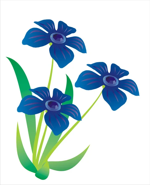 Trzy niebieskie kwiaty — Zdjęcie stockowe