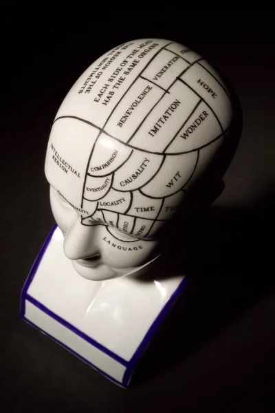Phrenology κεφάλι — Φωτογραφία Αρχείου