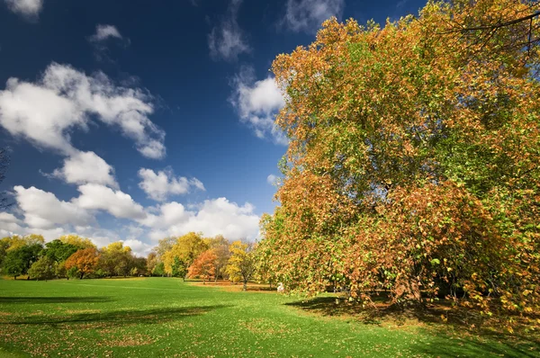 Autumn in Hyde Park, London. — Stock Photo, Image
