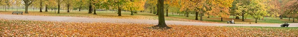Autumn Park — Stock Photo, Image