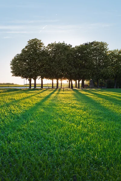 A summer landscape in the netherlands — Stock Photo, Image