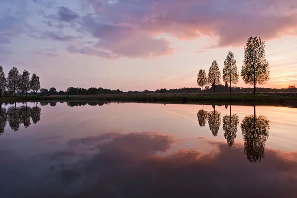 stock image Leafless tree near lake on sunset background sky