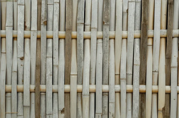 stock image Bamboo texture