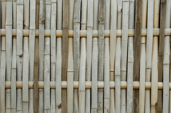 Textura de bambú Fotos de stock