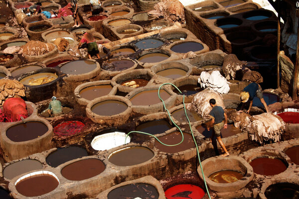 Working hard in the tannery of Fes, Morocco