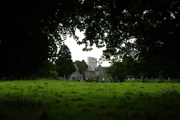 mucross Manastırı, killarney, İrlanda