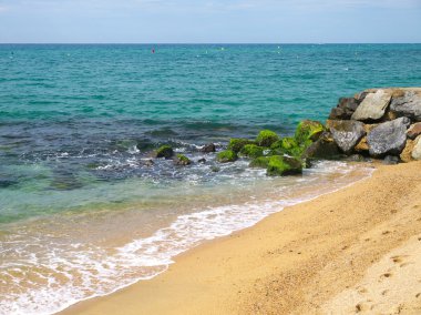 bazı deniz kıyısı