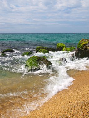 bazı deniz kıyısı