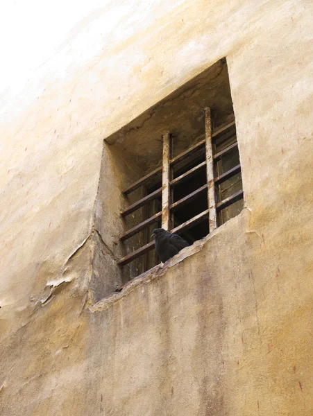 Fenster in der Mauer vergittert. — Stockfoto