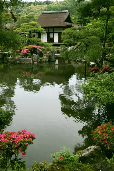 Jardin paysager japonais — Photo