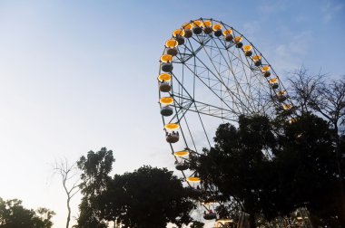 Ferris