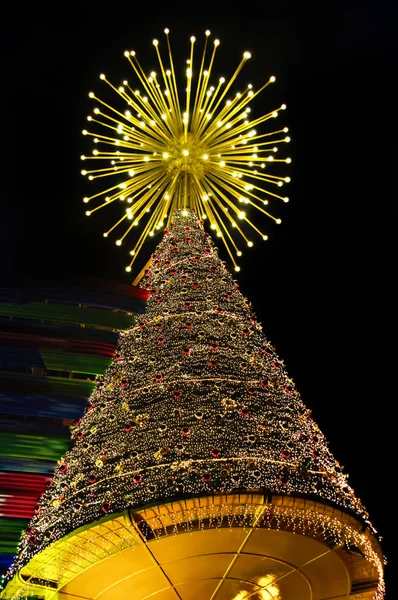 stock image Christmas Tree