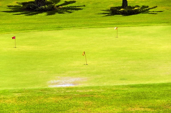 Greeny golfowe — Zdjęcie stockowe